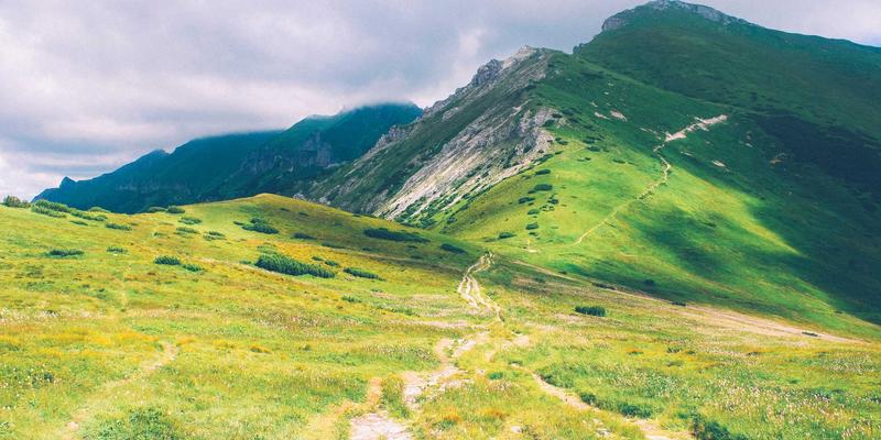 IT技术赋能未来:软件开发与编程教程的核心优势解析