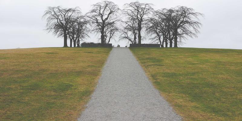 Wi-Fi 6E技术深度解析：6GHz频段如何重塑企业网络与用户体验 | 科技博客与IT技术指南