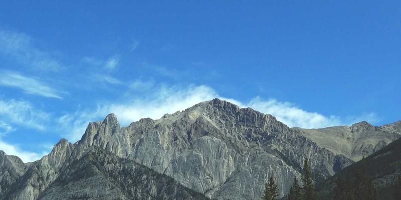 基于意图的网络(IBN)：引领网络技术变革，实现软件开发与IT技术的智能融合