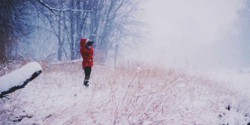 科技博客进阶指南：从资源分享到编程实战的完整攻略