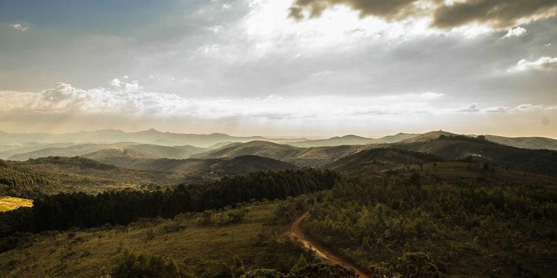 网络切片技术如何重塑5G专网：软件开发与IT技术驱动的行业定制化解决方案