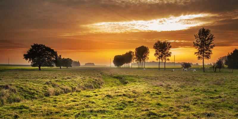 网络即服务（NaaS）商业模式探索：从基础设施到敏捷消费的转变