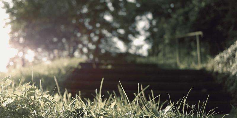 网络技术13：软件开发与编程教程的核心演进与实践指南