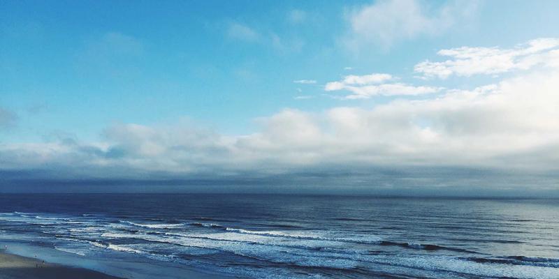 网络技术17：软件开发与编程教程的核心演进与未来趋势