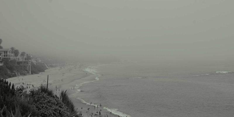 网络技术37：软件开发与编程教程的融合之道