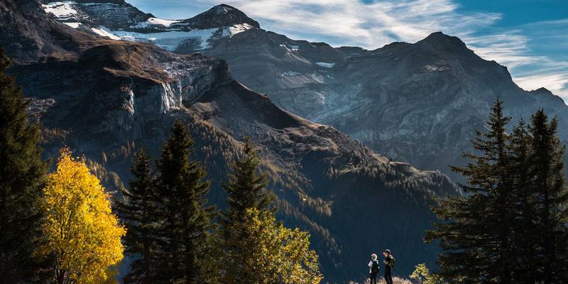 网络技术50：解码IT技术与软件开发的核心演进与未来趋势