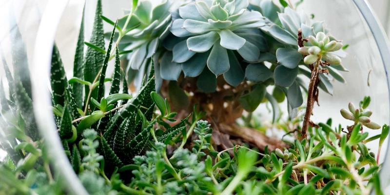 网络技术5：IT技术前沿、科技博客与资源分享的融合生态