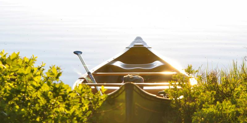 网络技术64：软件开发者的资源整合与高效学习路径