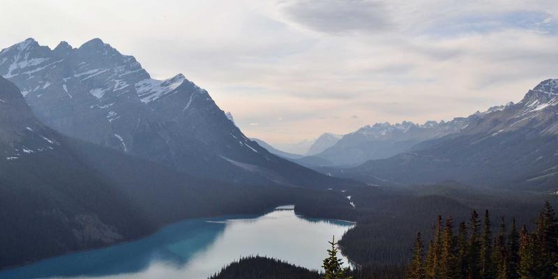 网络技术73：从编程教程到科技博客，构建你的软件开发知识体系