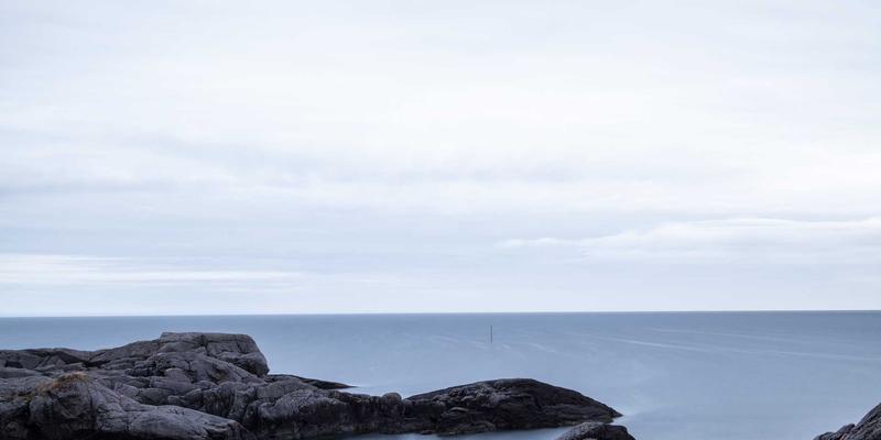 网络技术发展新趋势：软件开发、资源分享与编程教程的融合创新